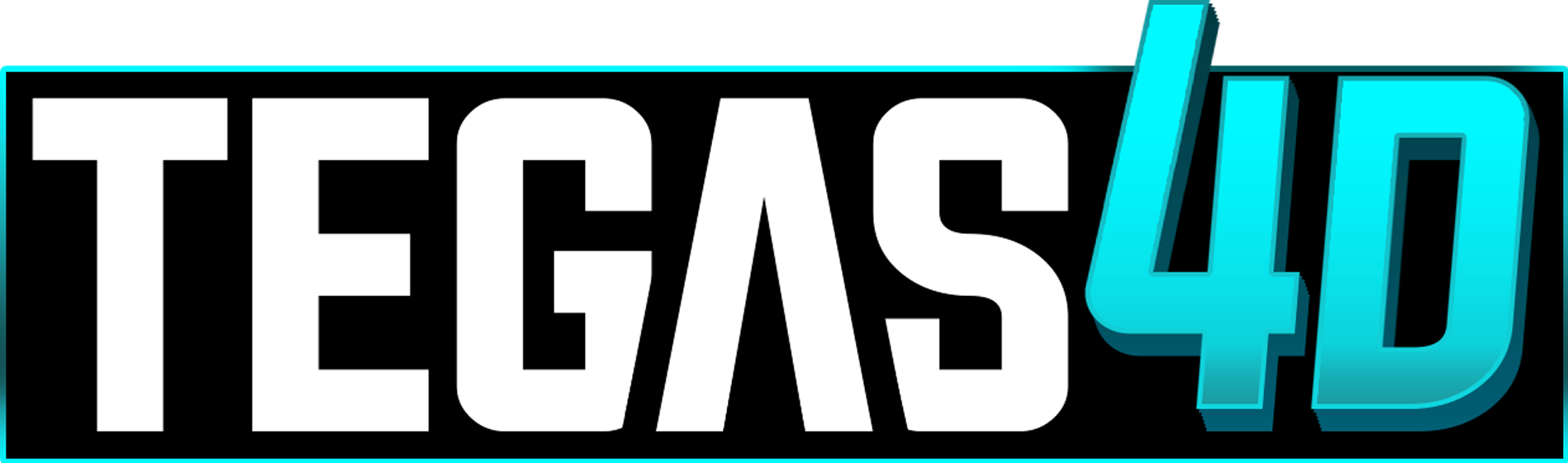 TEGAS4D